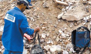 Rio roeu o prédio e o rei está nú ? Garimpo no RJ